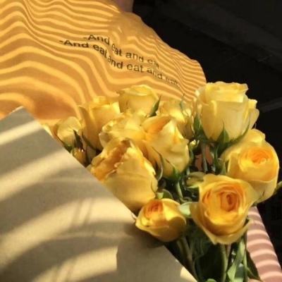 金星app安装下载官网