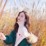 足球游戏下载手机版截图